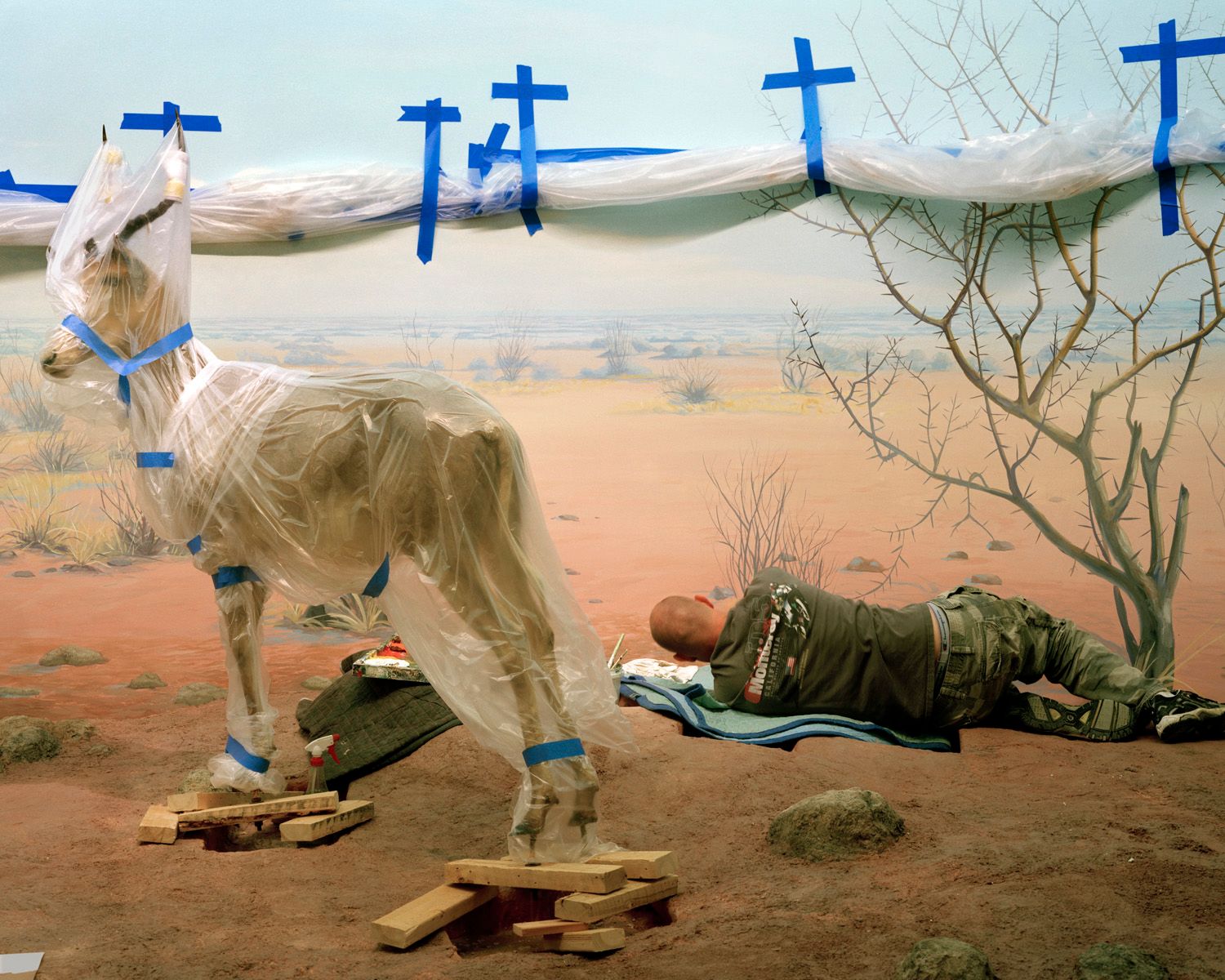 Single Ungulate and Man Amid Blue Crosses