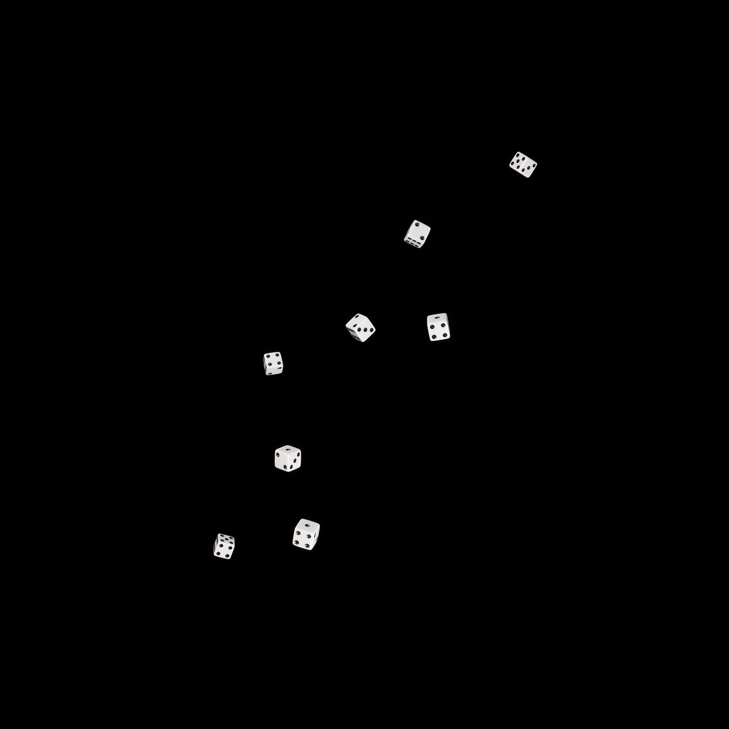 Dice Toss #1343